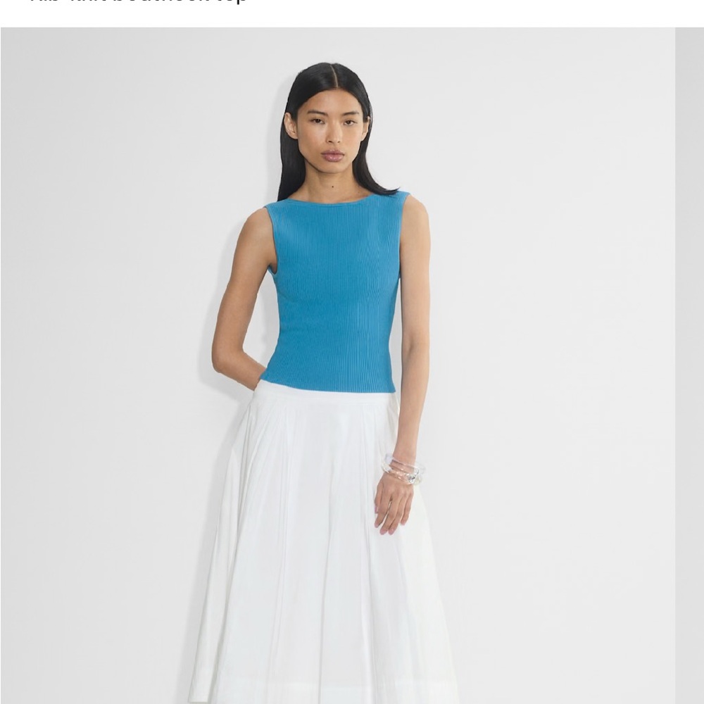 Aritzia Blue Sleeveless Top